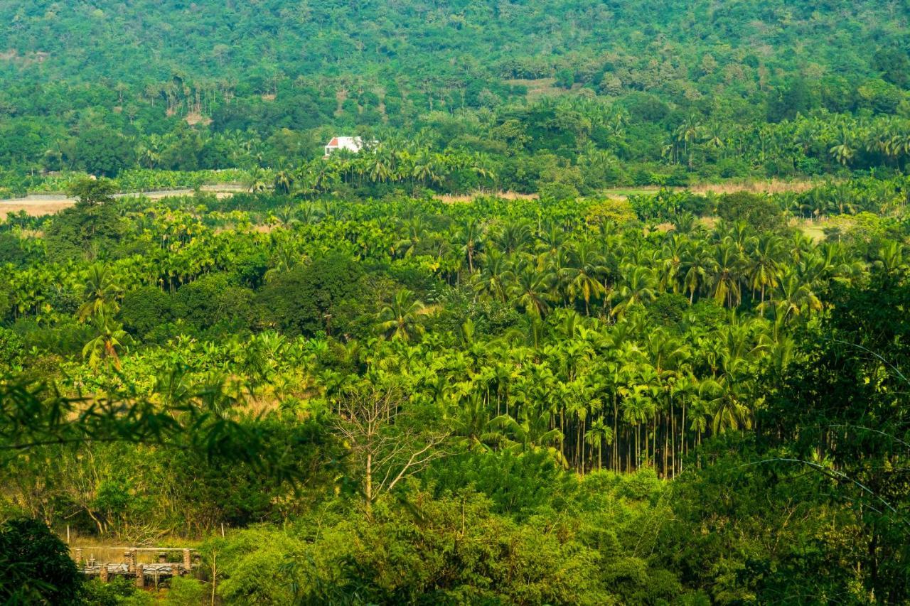 Вілла Lermitage Farms Kashid Alibaug Екстер'єр фото