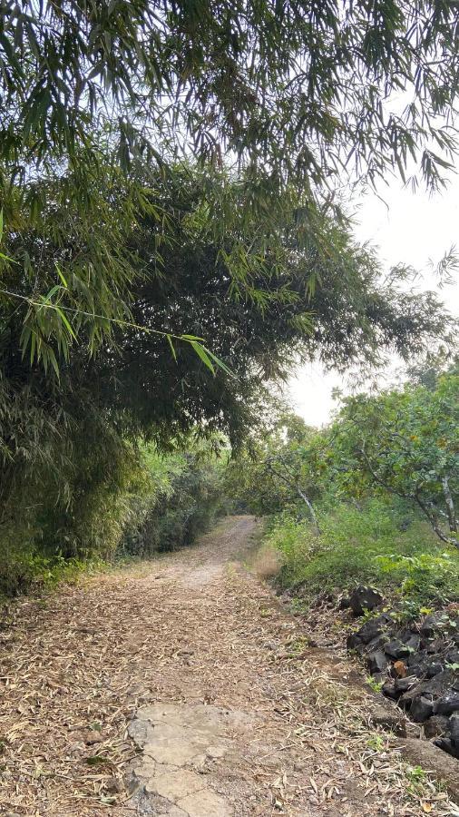 Вілла Lermitage Farms Kashid Alibaug Екстер'єр фото