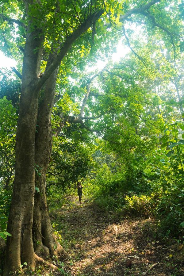 Вілла Lermitage Farms Kashid Alibaug Екстер'єр фото